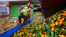 3 млн тонн сельхозпродукции в Китае пропало на складах из-за вируса